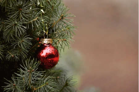 Regelen voor de kerstdagen